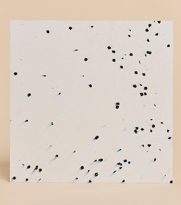 Panel Dálmata flux®