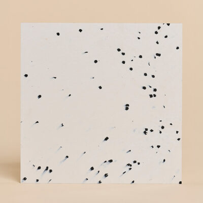 Panel Dálmata flux®